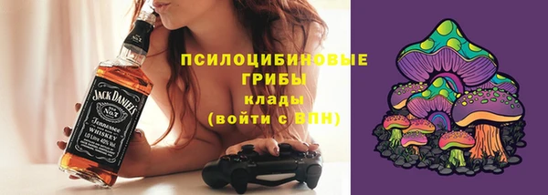 твердый Алексин