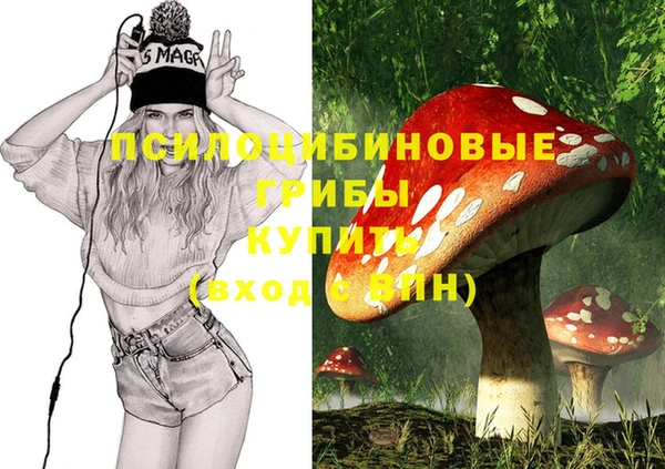 дмт Алзамай