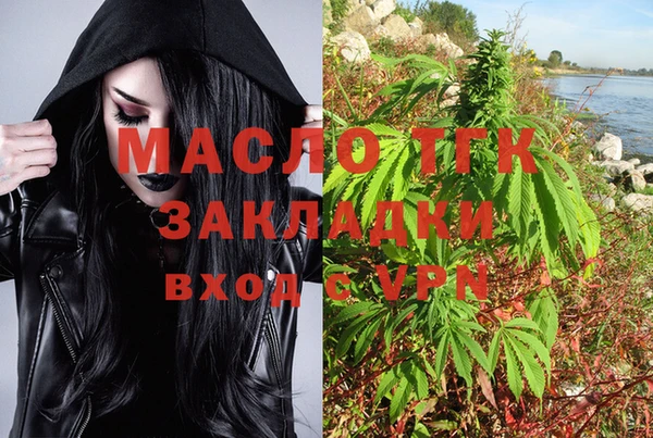 дмт Алзамай